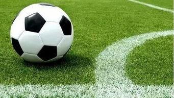 足球球队爆料视频大全,独家爆料视频大全全解析  第1张