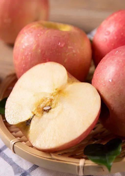 娱乐吃瓜作品有哪些类型,吃瓜群众的多元化娱乐作品类型大盘点 第2张 娱乐吃瓜作品有哪些类型,吃瓜群众的多元化娱乐作品类型大盘点 第2张